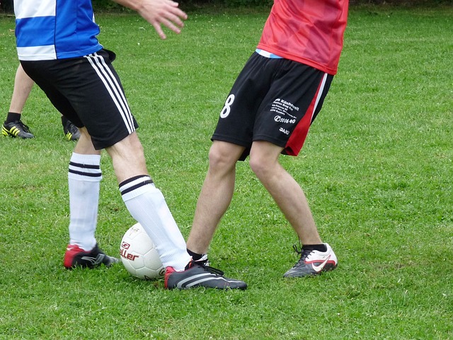 赢得了无数 赢得了无数