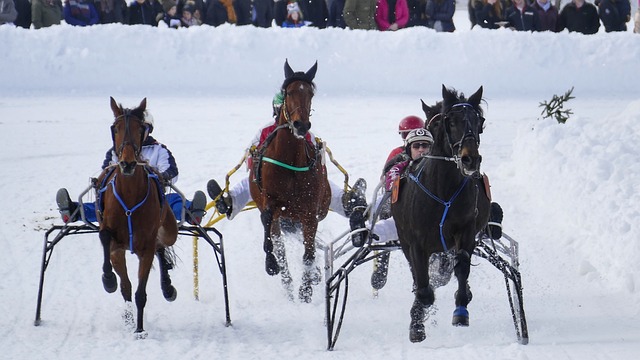 後防中的定 後防中的定