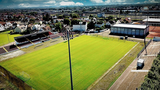 面对未来 面对未来