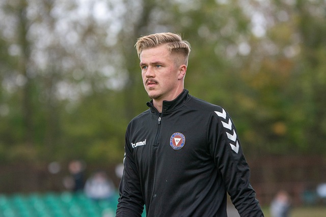 正后场新援 正后场新援