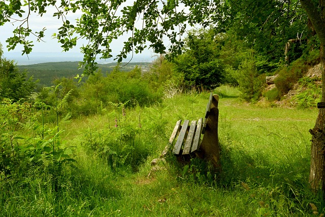 也令普通人 也令普通人